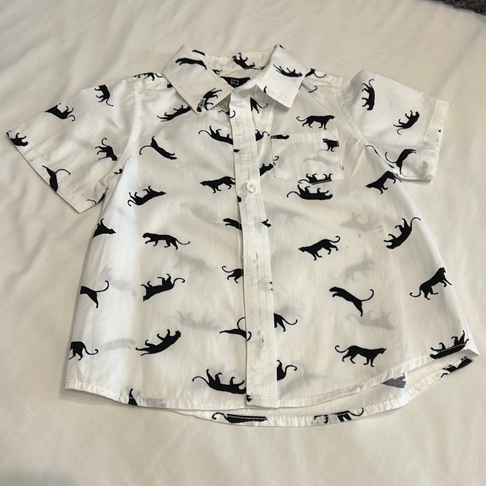 Short Sleeve Button Down Shirt